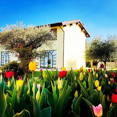 Alloggio per agriturismo Bitturelli